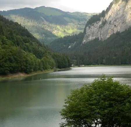 Les Sapins Montriond